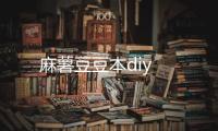 麻薯豆豆本diy