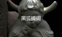 黑狐提词