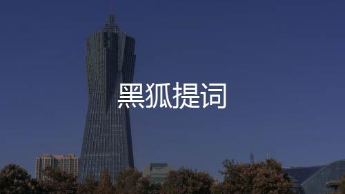 黑狐提词下载