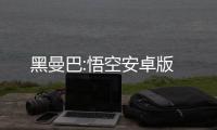 黑曼巴:悟空安卓版