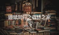 鼹鼠同行之森林之家