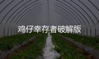 鸡仔幸存者破解版