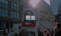 鹅盒