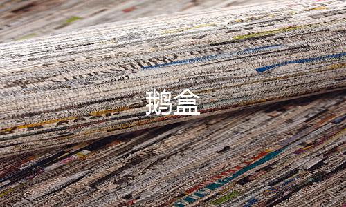鹅盒下载