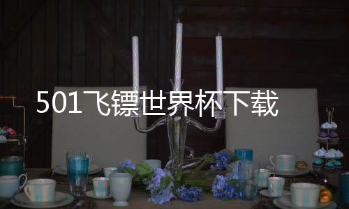 501飞镖世界杯下载下载
