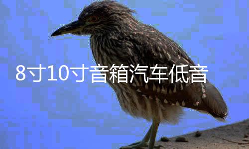 8寸10寸音箱汽车低音炮音响蓝牙12v24v220v车载重低音大功率家用下载