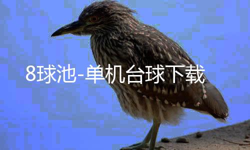 8球池-单机台球下载下载