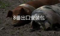 8番出口安装包