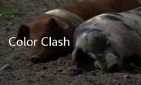 Color Clash游戏