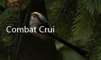 Combat Cruiser游戏