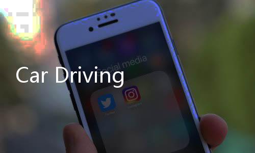 Car Driving School Simulator驾校模拟2020下载