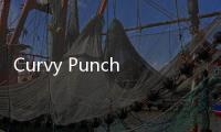 Curvy Punch 3D橡胶人拳击3D安卓版
