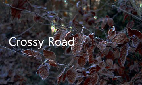 Crossy Road天天过马路游戏下载