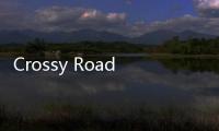Crossy Road天天过马路游戏