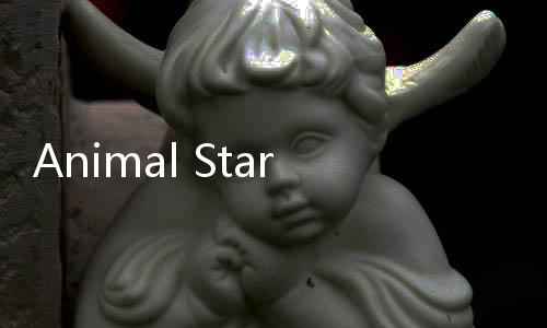 Animal Star动物明星下载