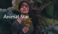 Animal Star动物明星
