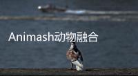 Animash动物融合模拟破解版