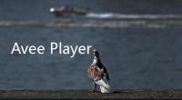 Avee Player音乐可视化