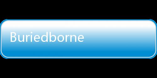 Buriedbornes2被埋葬的博尔内什2最新版下载