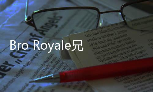 Bro Royale兄弟大逃杀下载