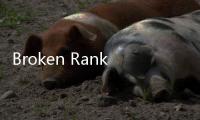 Broken Ranks 中文手游破解版
