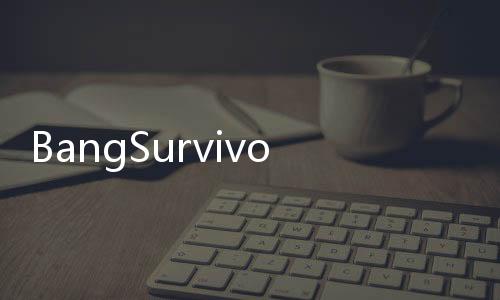 BangSurvivor向僵尸开炮国际服破解版下载