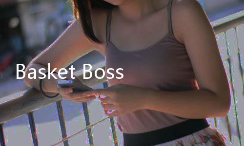 Basket Boss下载下载