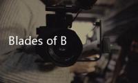 Blades of Brim破解版