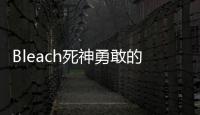 Bleach死神勇敢的灵魂国际服