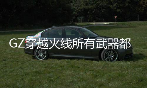 GZ穿越火线所有武器都有的破解版下载