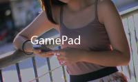 GamePad