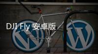 DJI Fly 安卓版