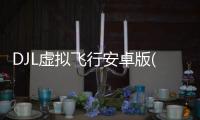 DJL虚拟飞行安卓版(DJI Fly)