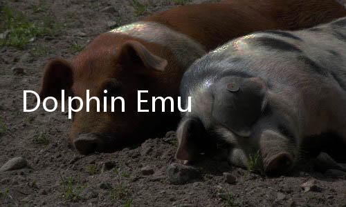 Dolphin Emulator Pro Alpha下载