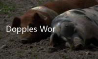 Dopples World多普莱斯世界安卓版