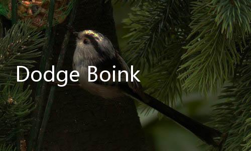 Dodge Boinks游戏下载