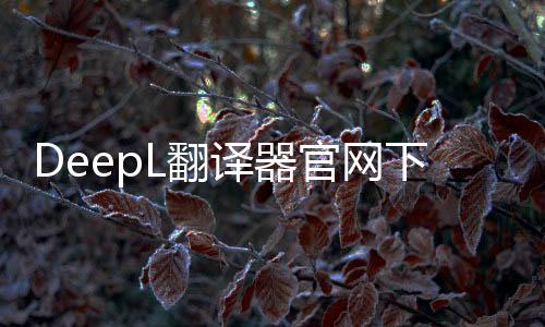 DeepL翻译器官网下载 2.2下载