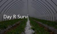 Day R Survival(生存之日安卓版)