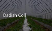Dadish Collection萝卜爸爸收藏版完整版