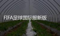 FIFA足球国际服新版本