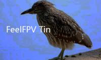 FeelFPV TinyWhoop无人机模拟