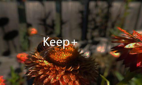 Keep+下载