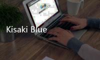 Kisaki Blue Archive手游官方版