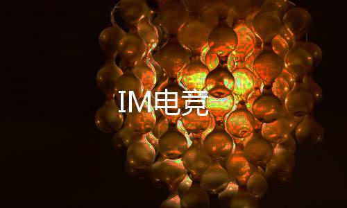 IM电竞下载