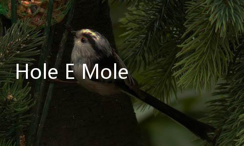 Hole E Mole最新版下载