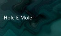 Hole E Mole最新版
