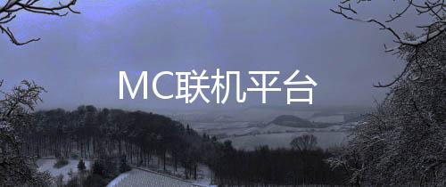 MC联机平台下载