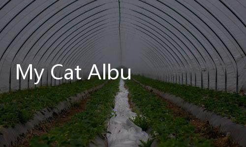My Cat Album – Sticker Book下载下载