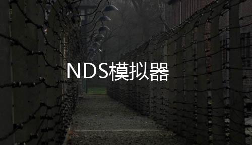 NDS模拟器下载