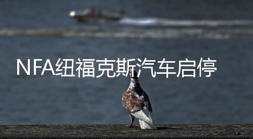 NFA纽福克斯汽车启停铅酸蓄电瓶充电器12V自动电池充电机智能修复下载
